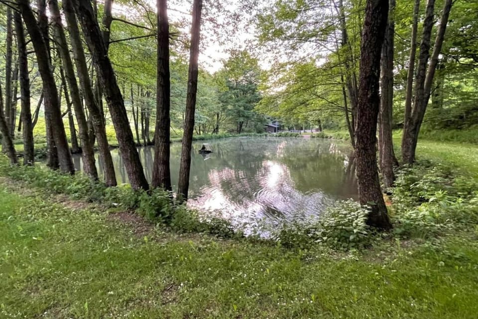 Surroundings [summer] (1-5 km)