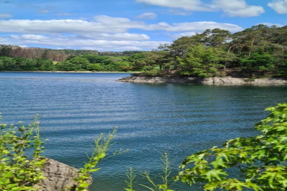 Surroundings [summer] (1-5 km)