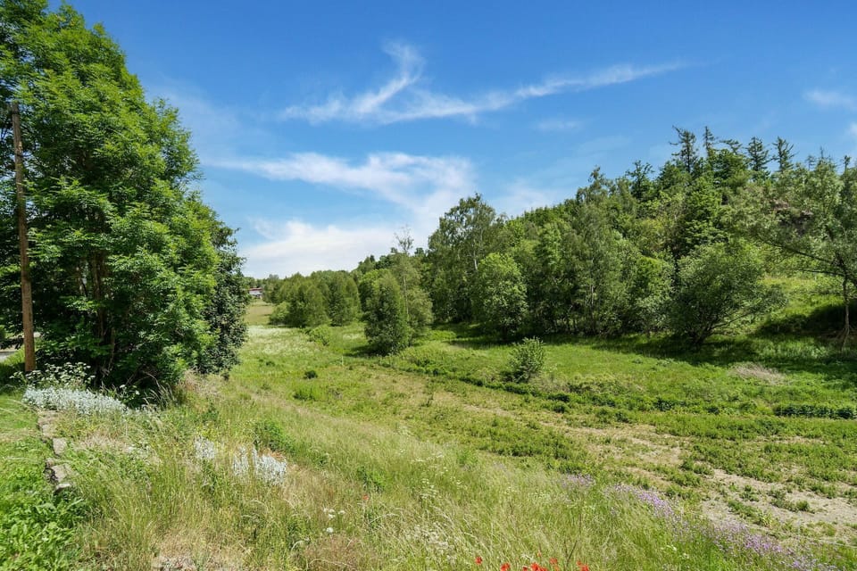 Immediate Surroundings [summer] (<1 km)