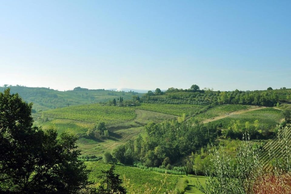 Region [summer] (>5 km)