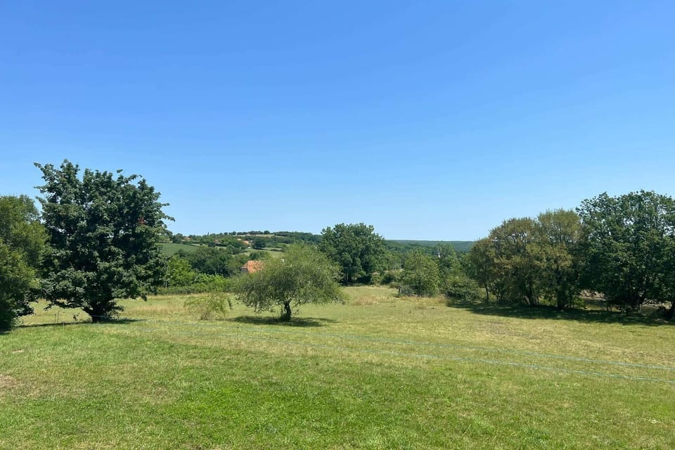 View from Holiday Home [summer]