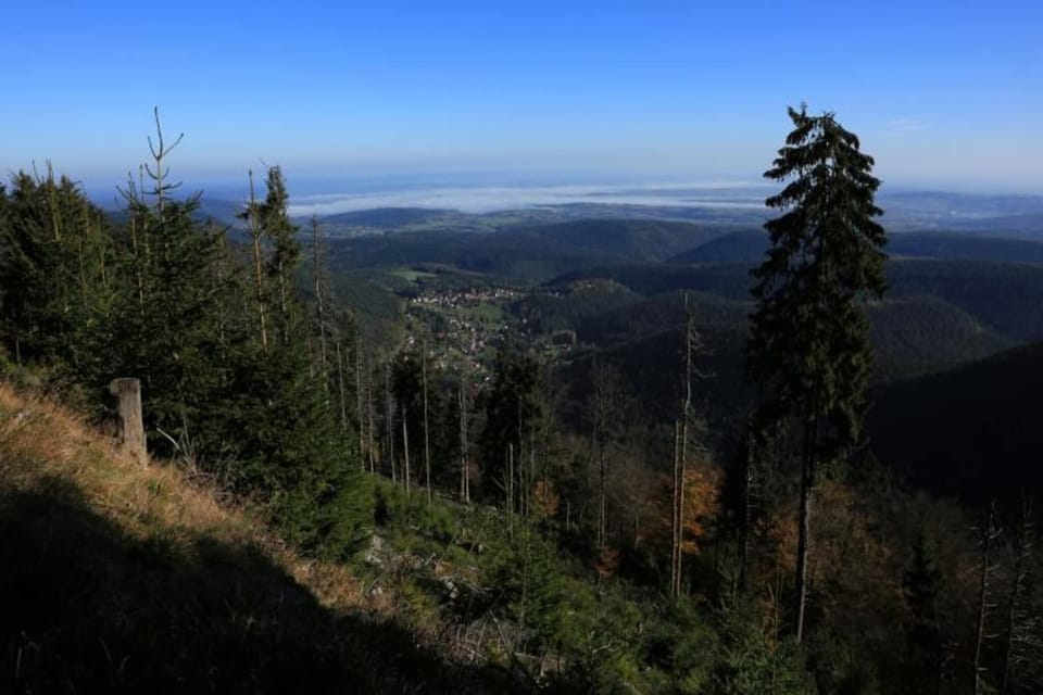 Surroundings [summer] (1-5 km)