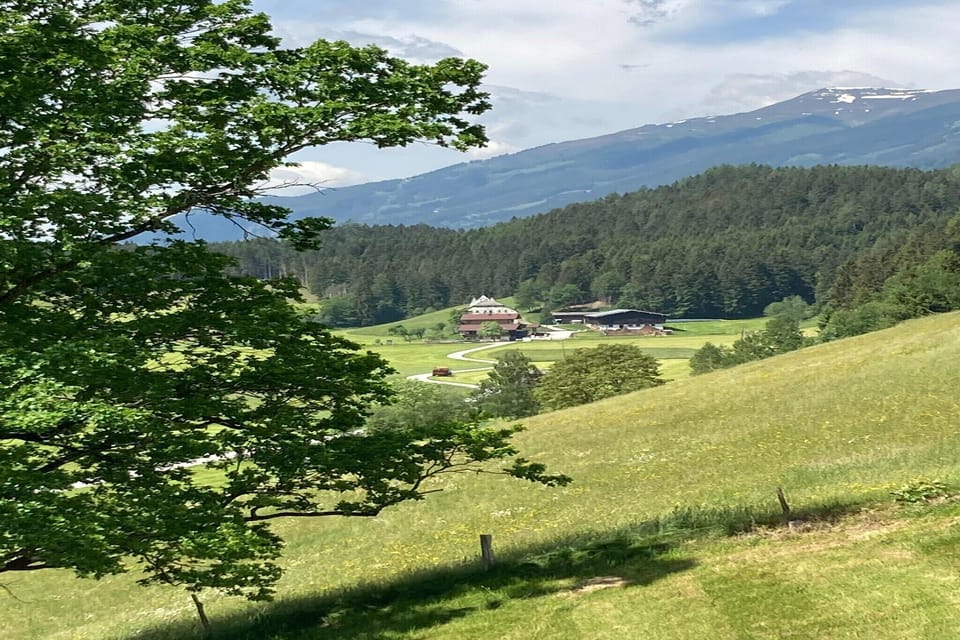View from Holiday Home [summer]