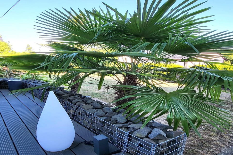 Patio / Balcony