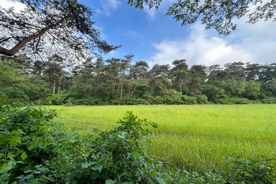 Surroundings [summer] (1-5 km)