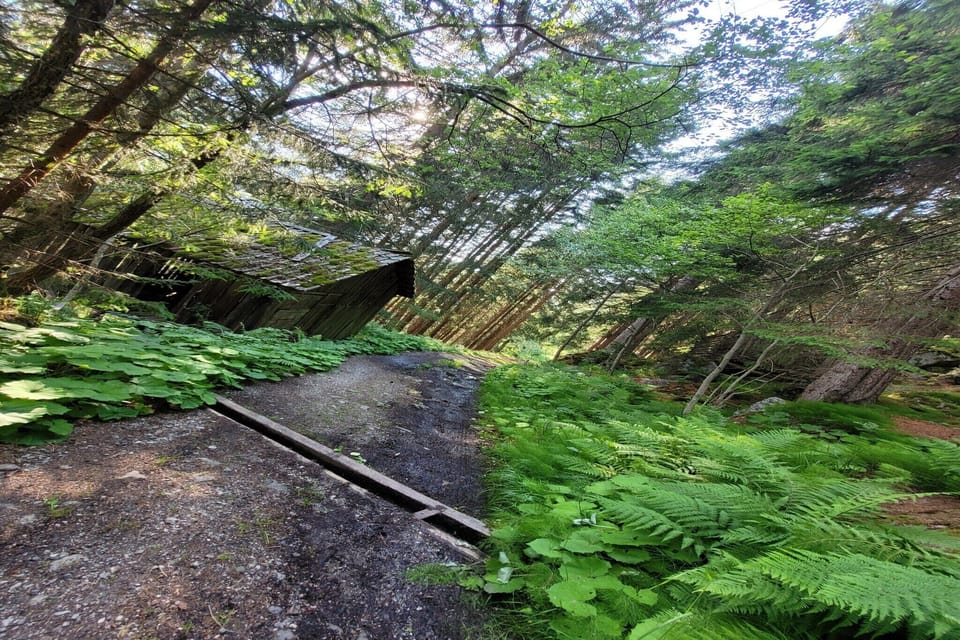 Surroundings [summer] (1-5 km)