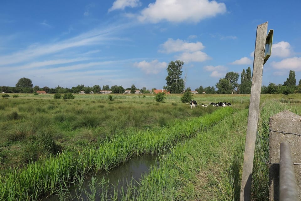 Immediate Surroundings [summer] (<1 km)