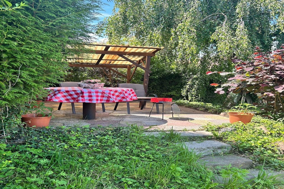 Garden [summer]