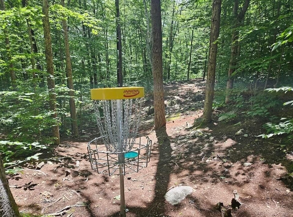 Free disc golf