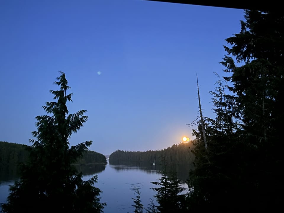 View from property