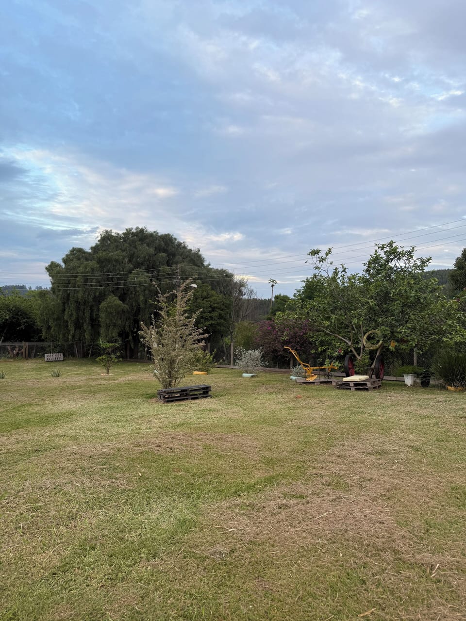 Property grounds