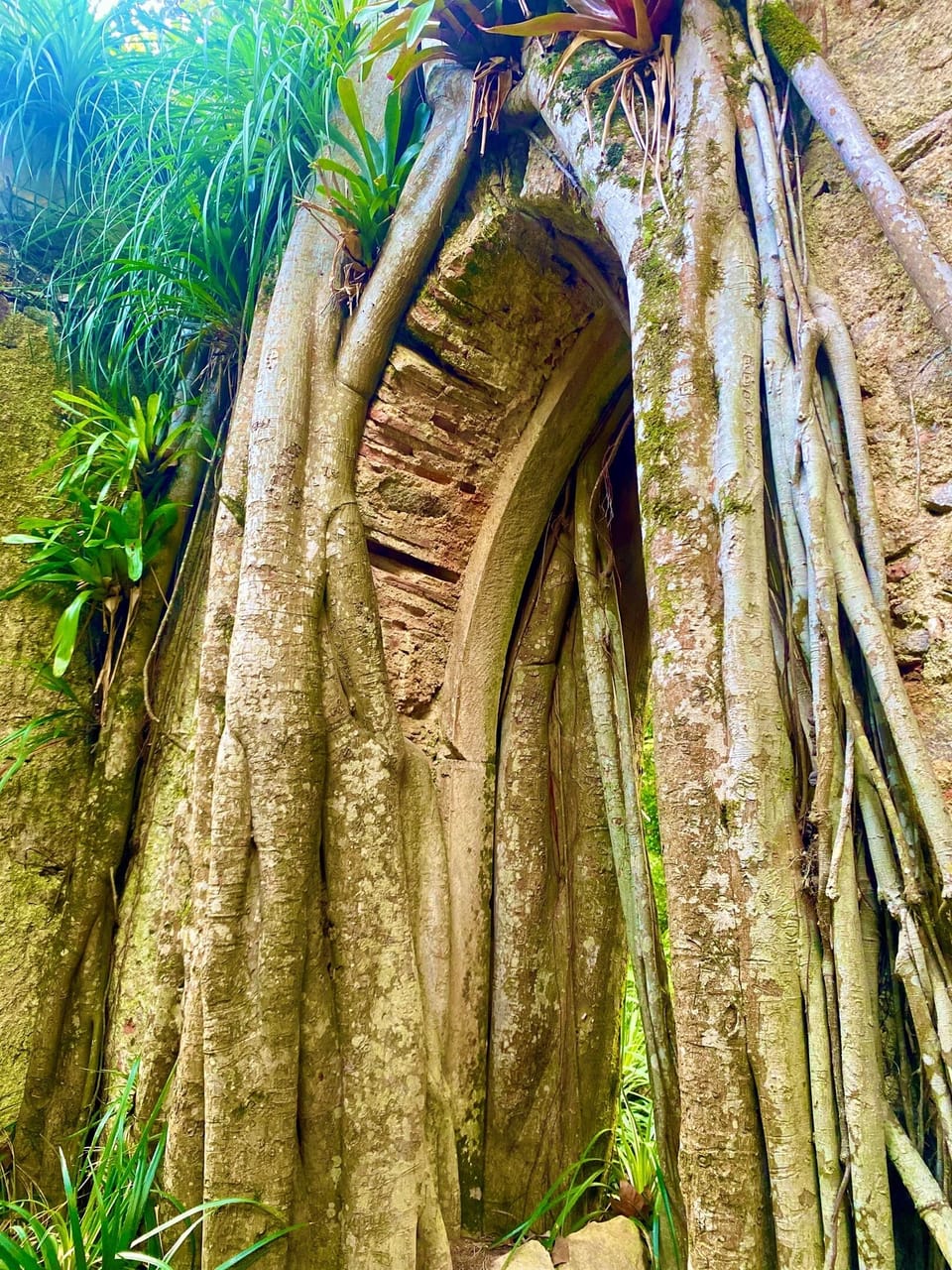 Sinta Hiking