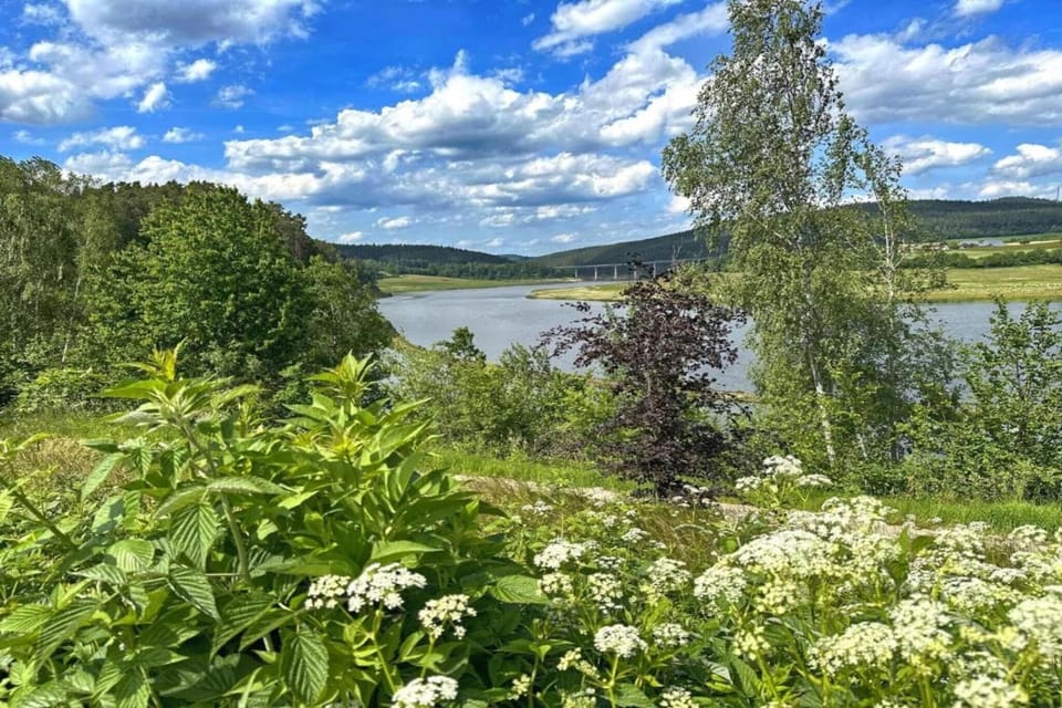 Region [summer] (>5 km)