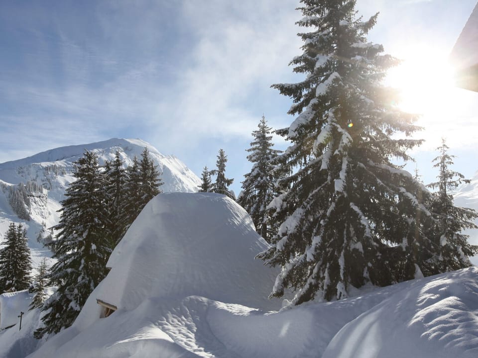 Snow and ski sports