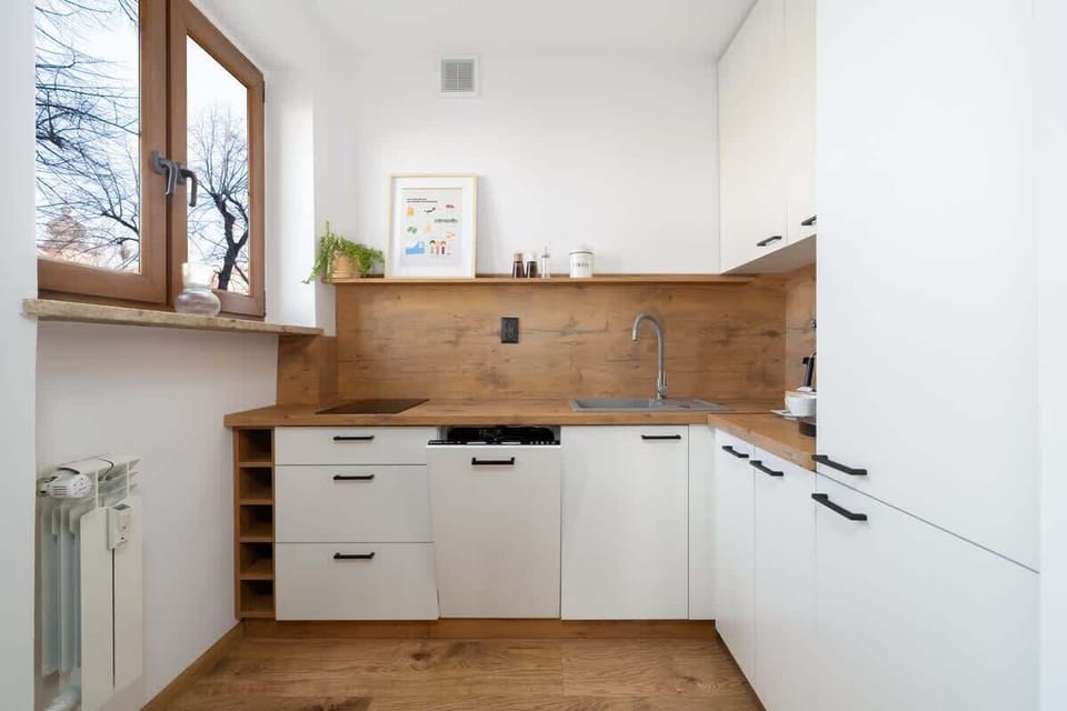 Kitchenette with an induction hob, fridge with freezer, electric kettle, coffee maker and dishwasher