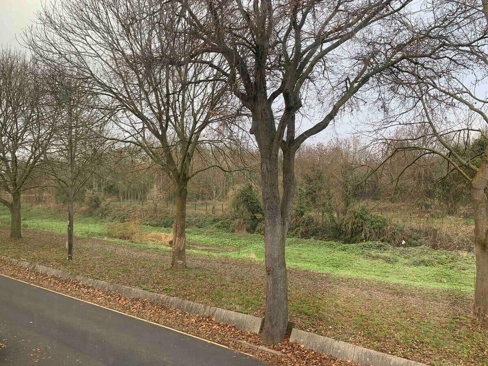 Private and peaceful Property front / View 