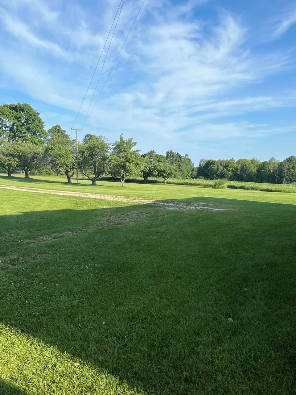 lawn around the house
