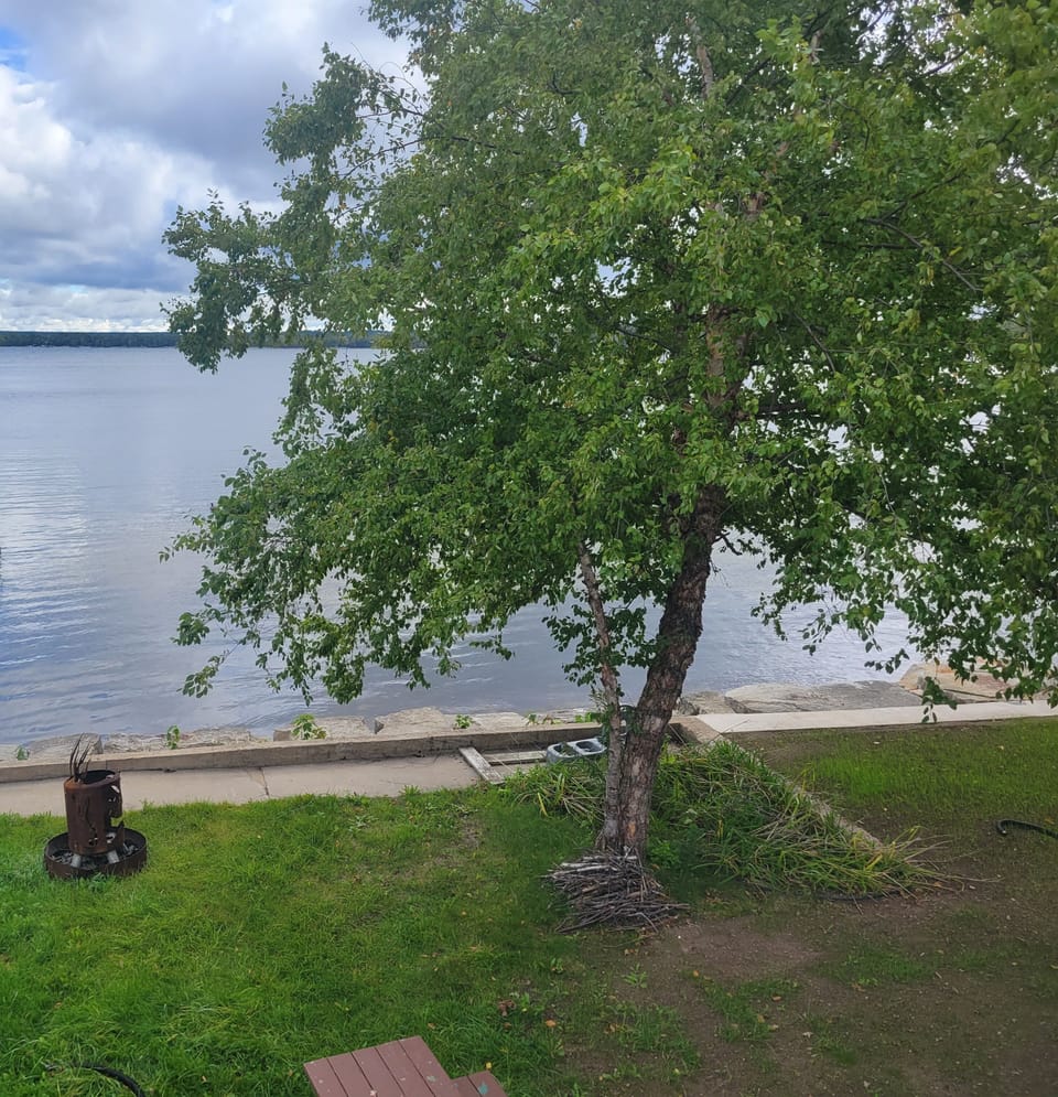 Water view