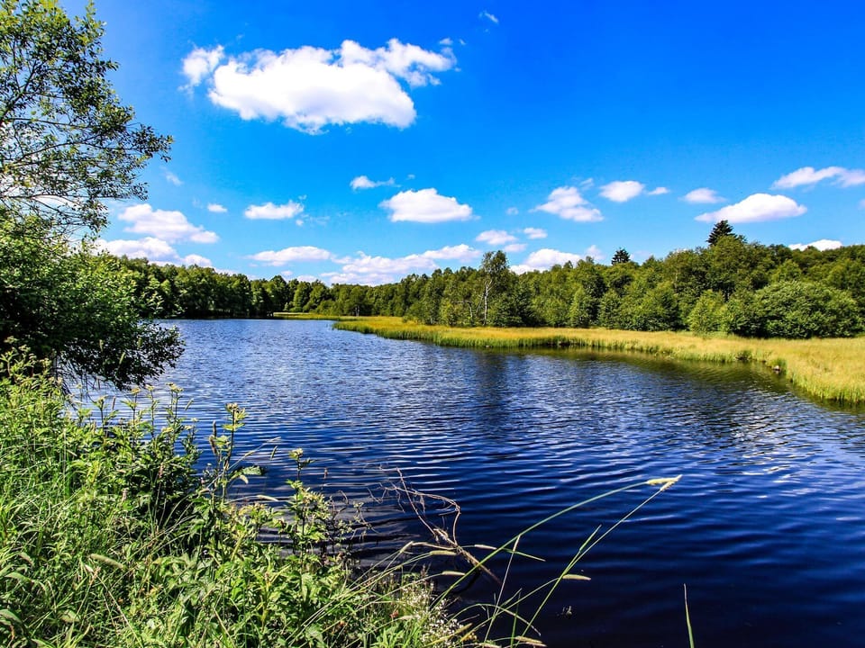 The moor lake in the Red Moor