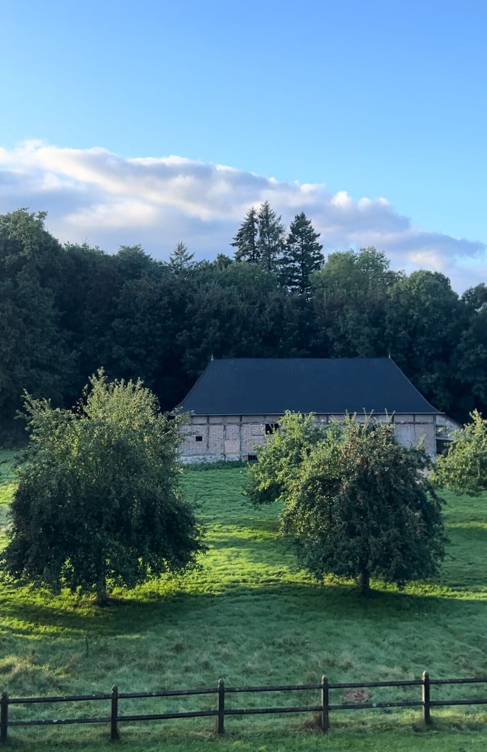 Miscellaneous