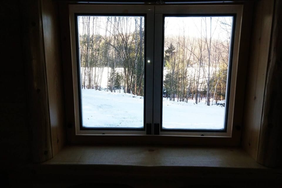 View of frozen pond from the end of the bed. Driveway between trees and cabin. 