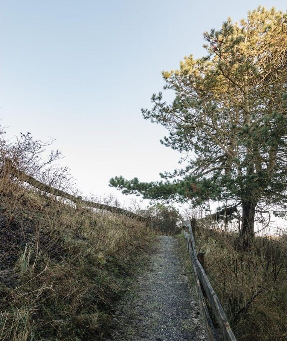 Immediate Surroundings [summer] (<1 km)
