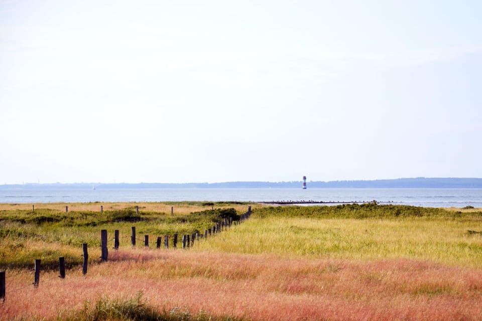 Surroundings [summer] (1-5 km)