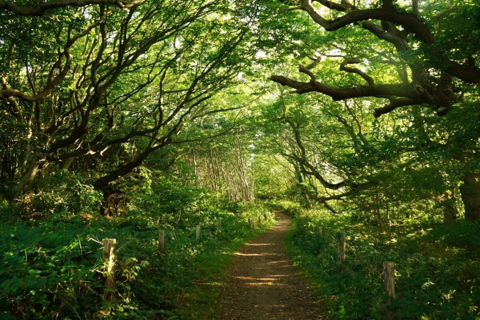 Surroundings [summer] (1-5 km)