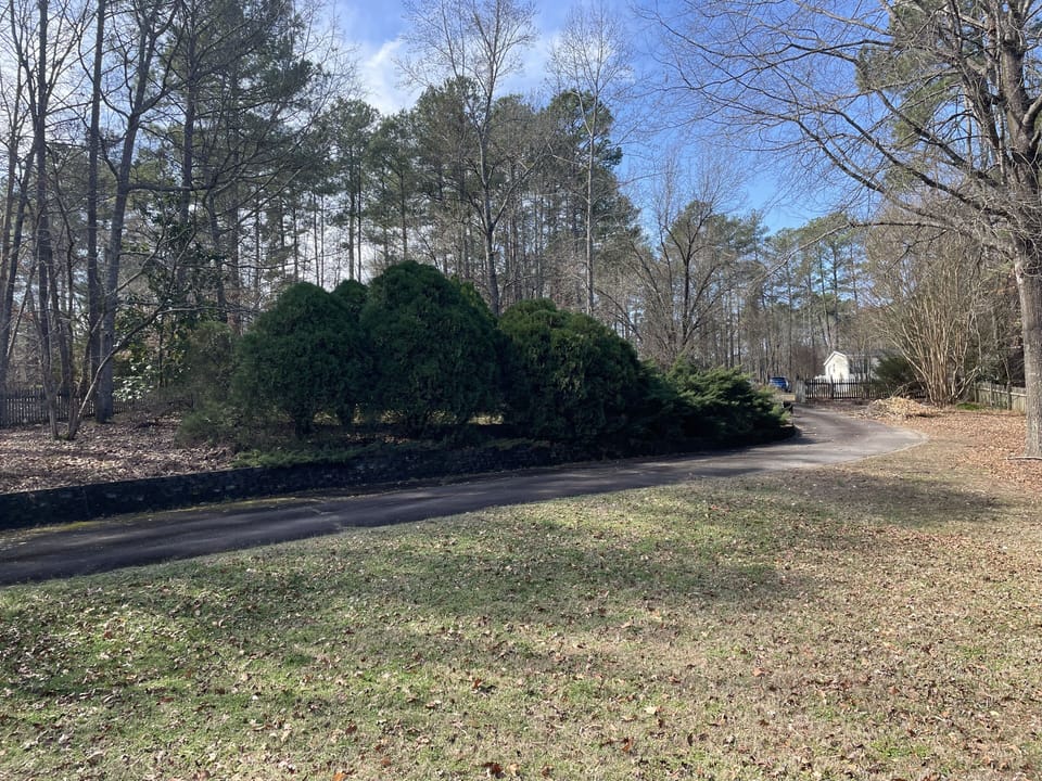 View of the Front Drive, from the Front Porch.