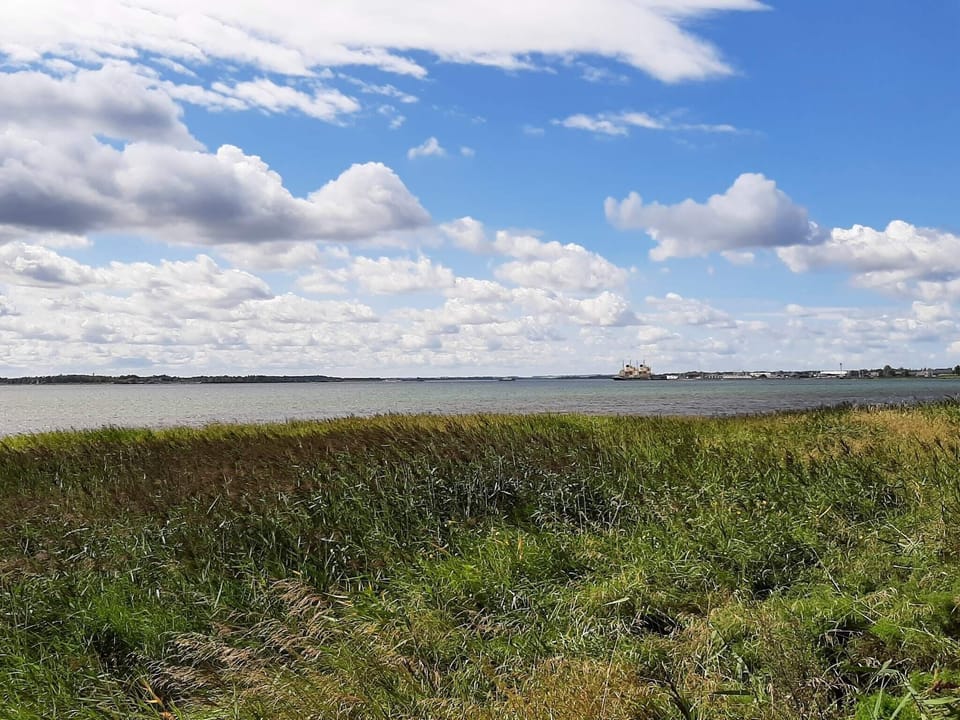 Water view