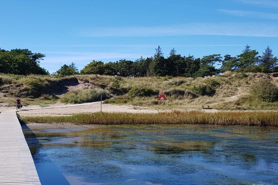 Water view