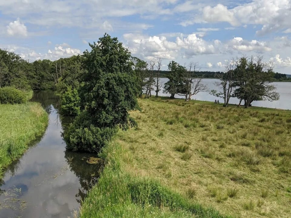 Water view