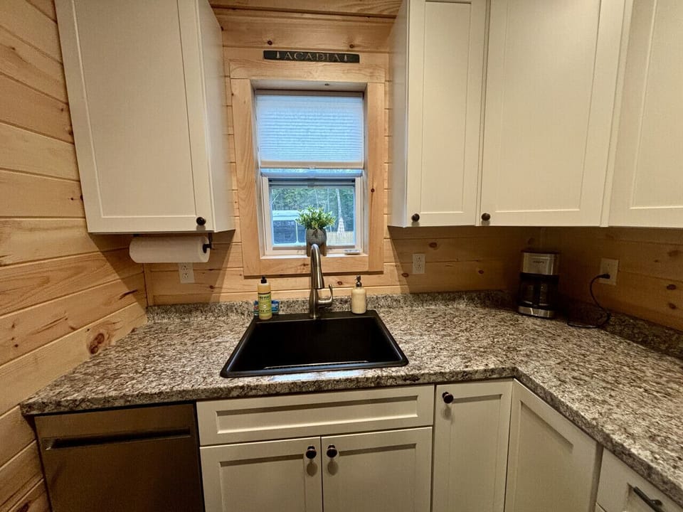 Composite sink with dishwasher