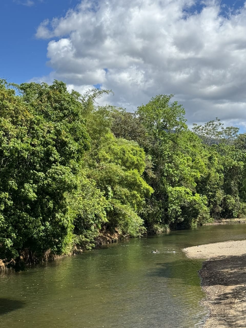 overview of the river
