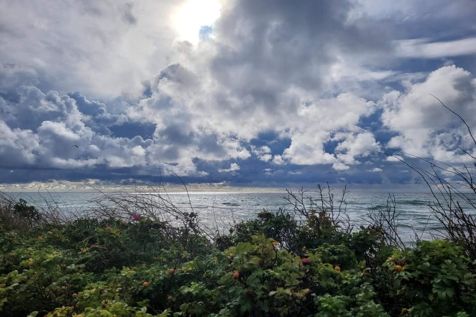 Water view