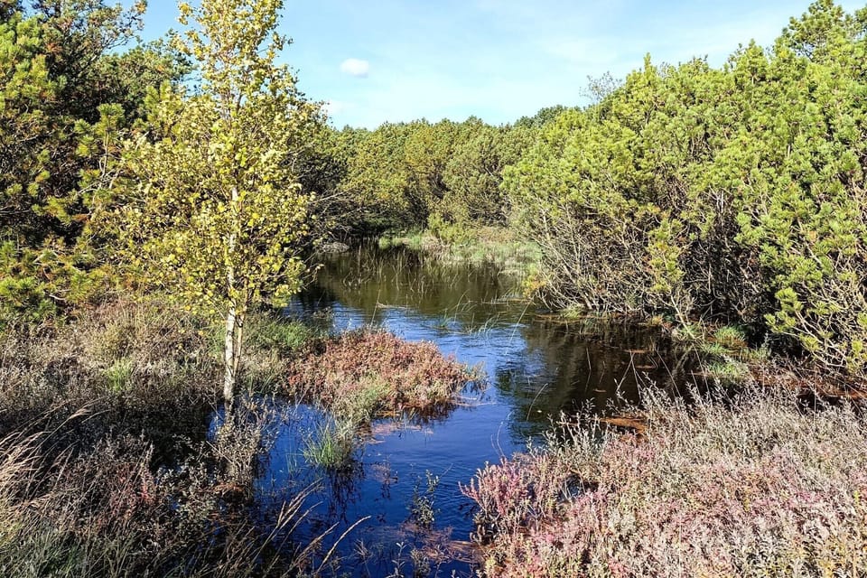 Water view