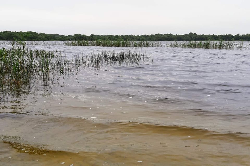 Water view