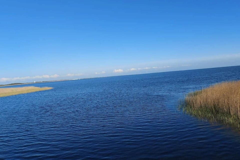 Water view