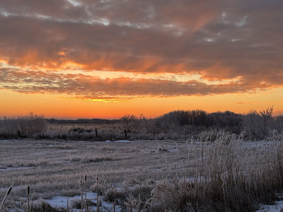 Nothing like the Painted Sky of a prairie sunset. 