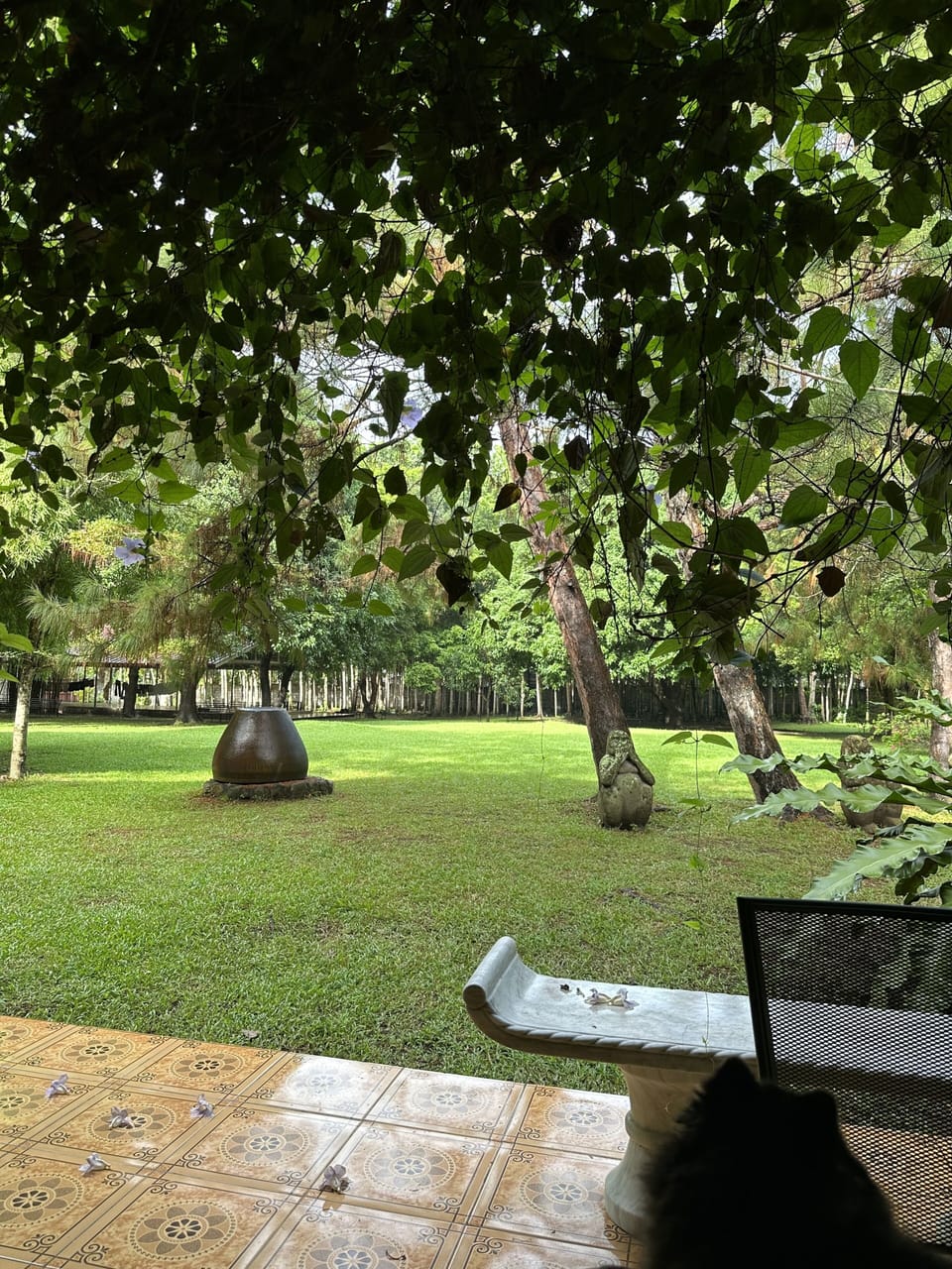 Property grounds