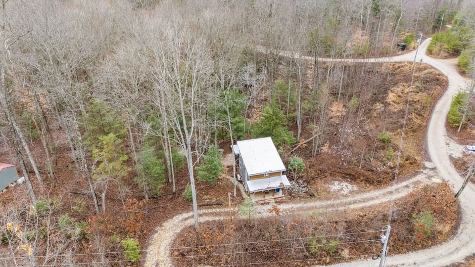 Big Leaf's lovely forested location