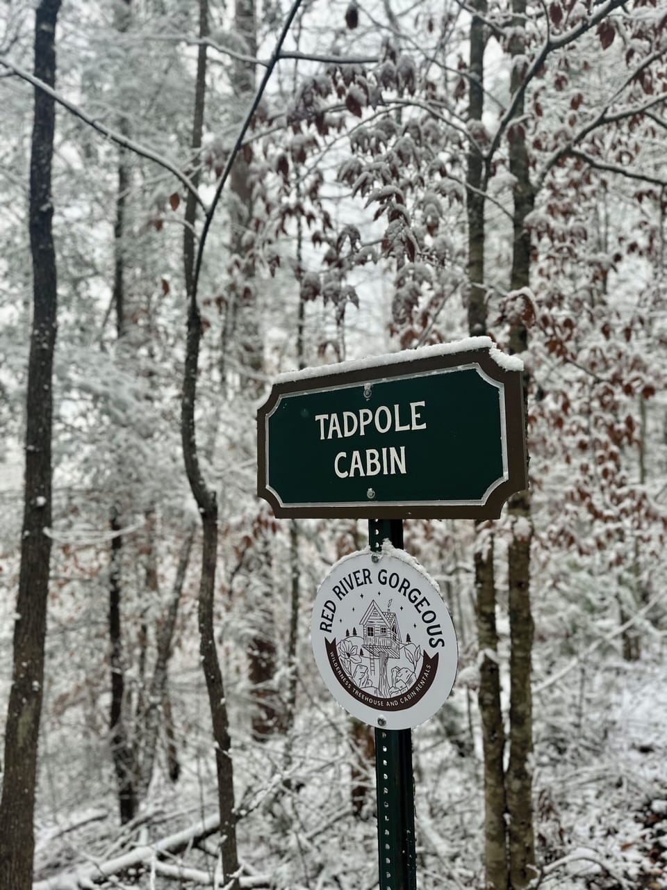 Snowy Sign!