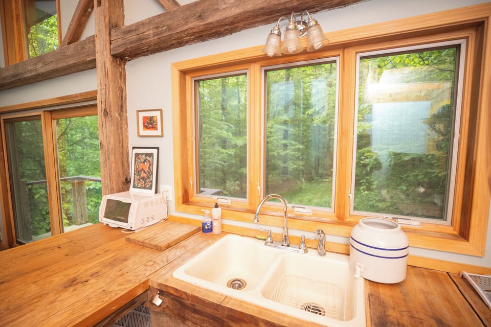 The kitchen sink and countertop.