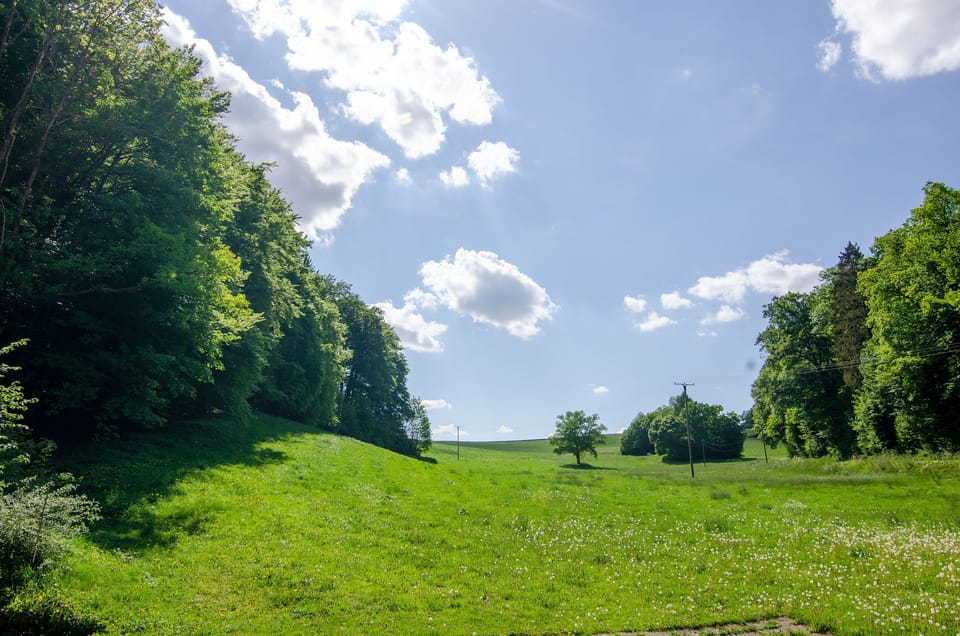 Here you can see the Melbecketal directly at the Verse holiday farm in Sauerland