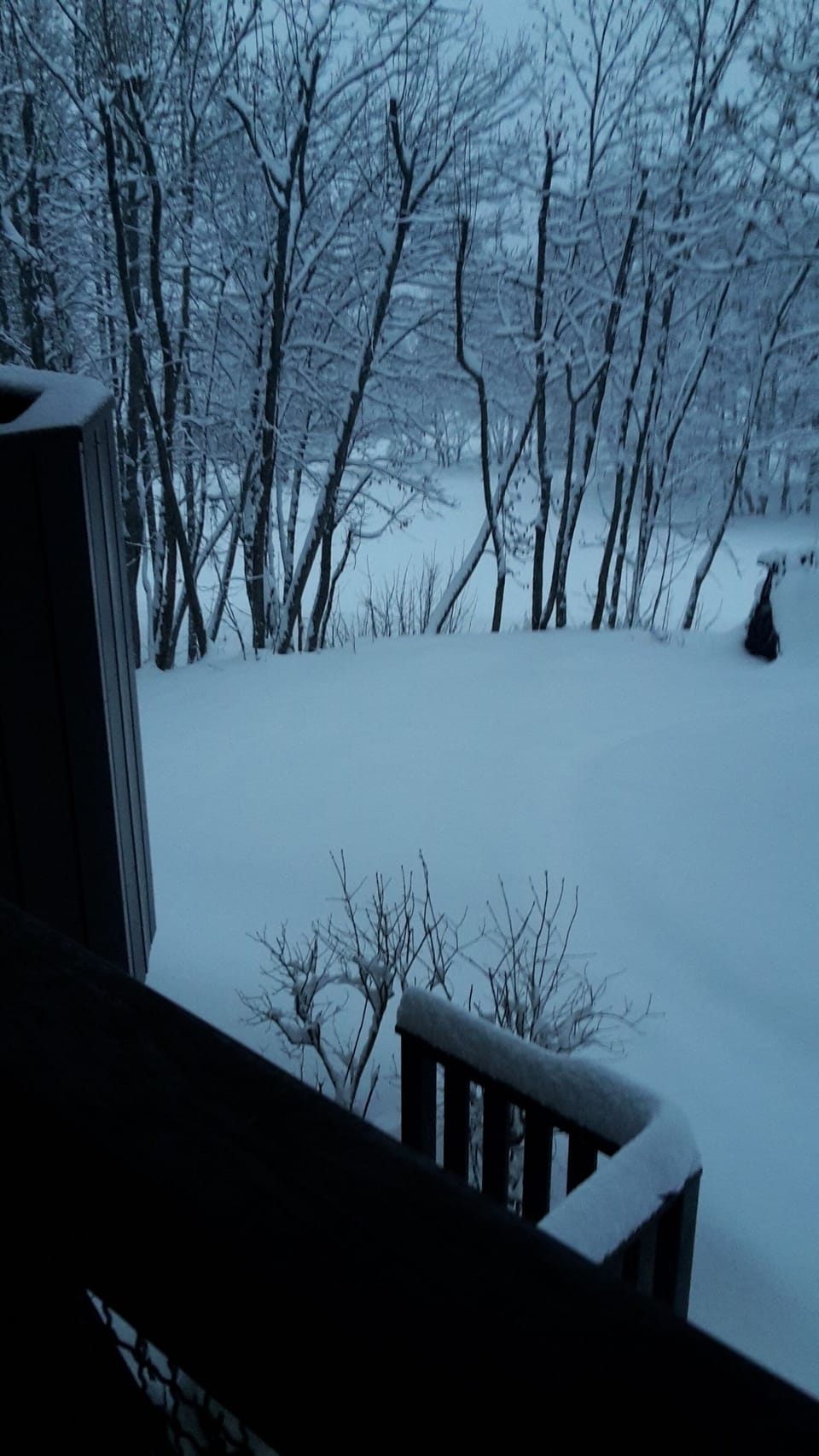 View from property