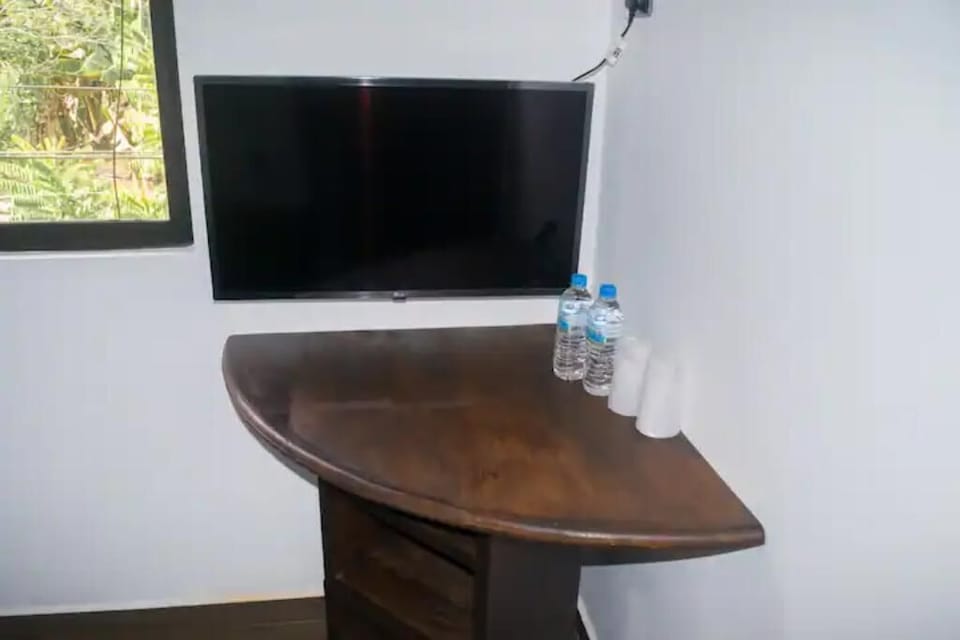 Television