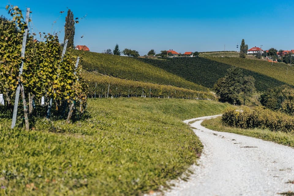 Typical vineyard road through Prlekija region