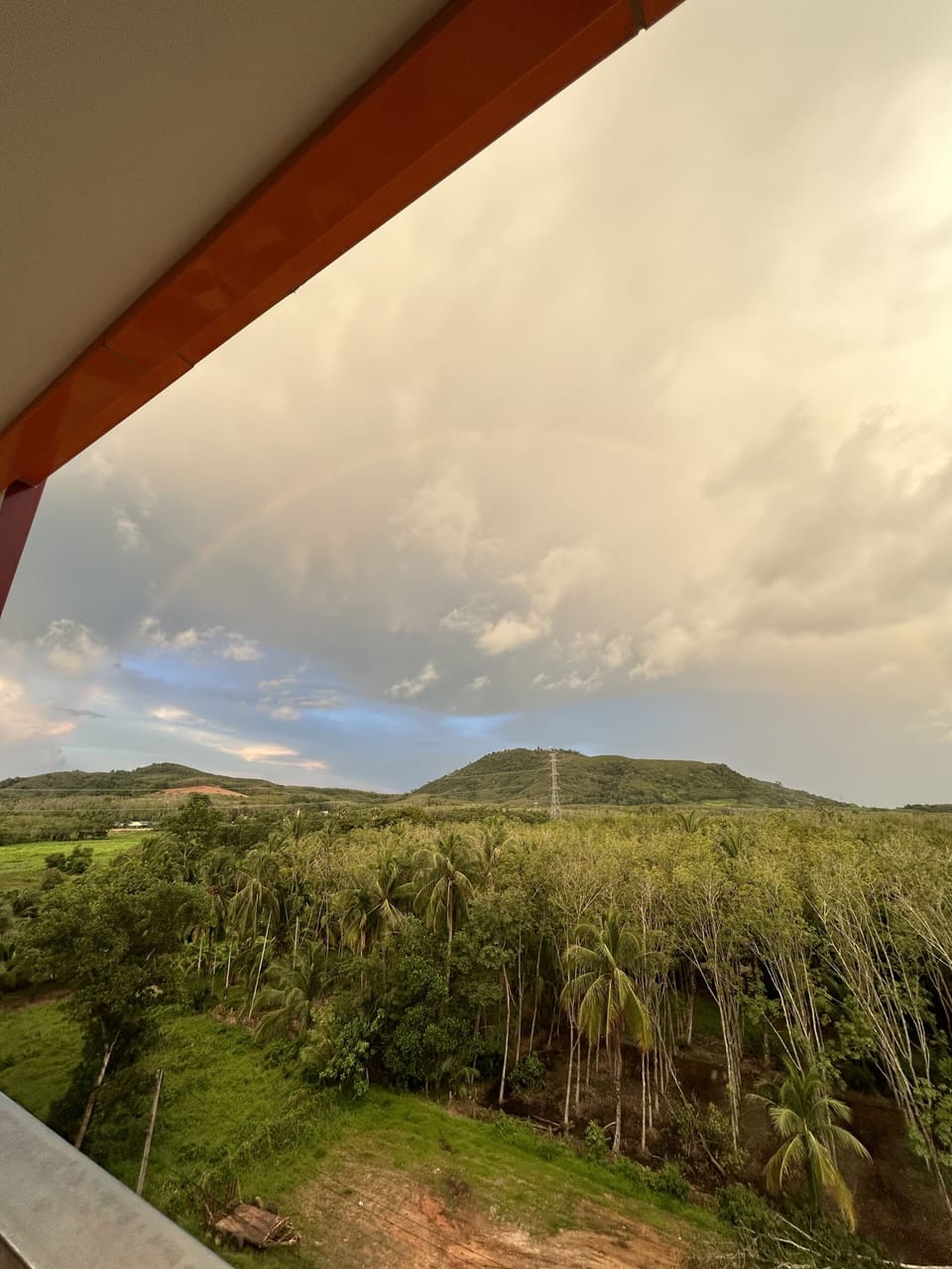 View from property
