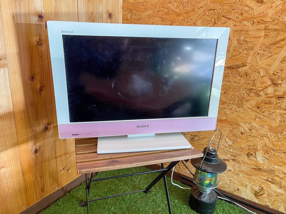 Television
