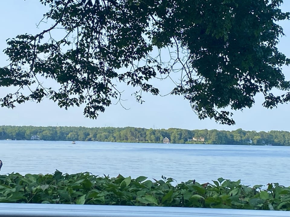View from property